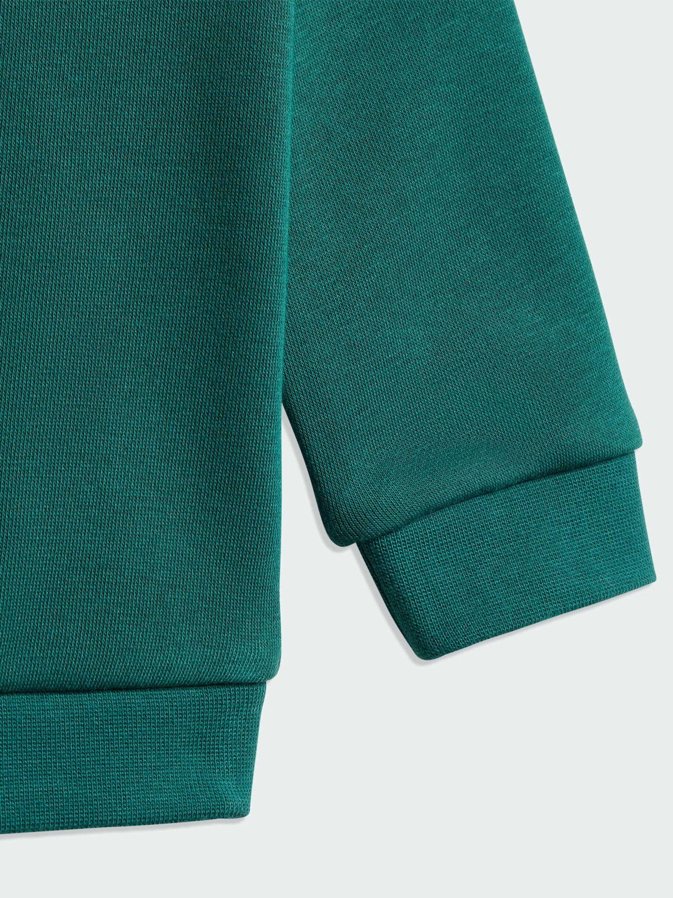 Спортивный костюм Adidas Graphics модель KC8425 Фото