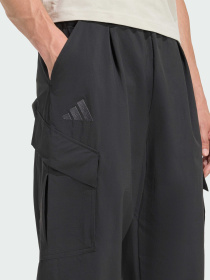 Штани Terrex Xploric CLIMA365 Cargo модель KE4998 Фото