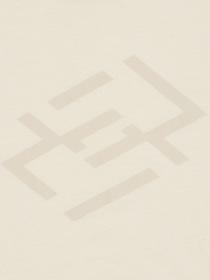 Футболка женская SMART YOU W TEE JS модель 220727_086 Фото