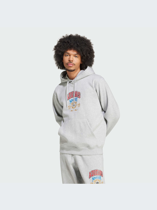 Худи и свитшоты Adidas Graphics модель IX6770-KZ Фото