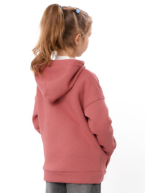 Тепла толстовка для дівчинки на блискавці, Джеральдін Носи Своє (6395-025-5) модель 6395-025-5-dzheralxdn Фото