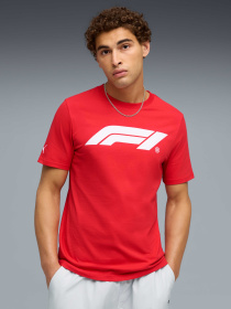Футболка F1® Essentials Logo Tee Men модель 633264 Фото