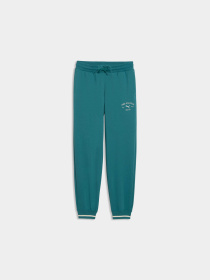 Штаны спортивные PUMA Class Sweatpants модель 692533 Фото