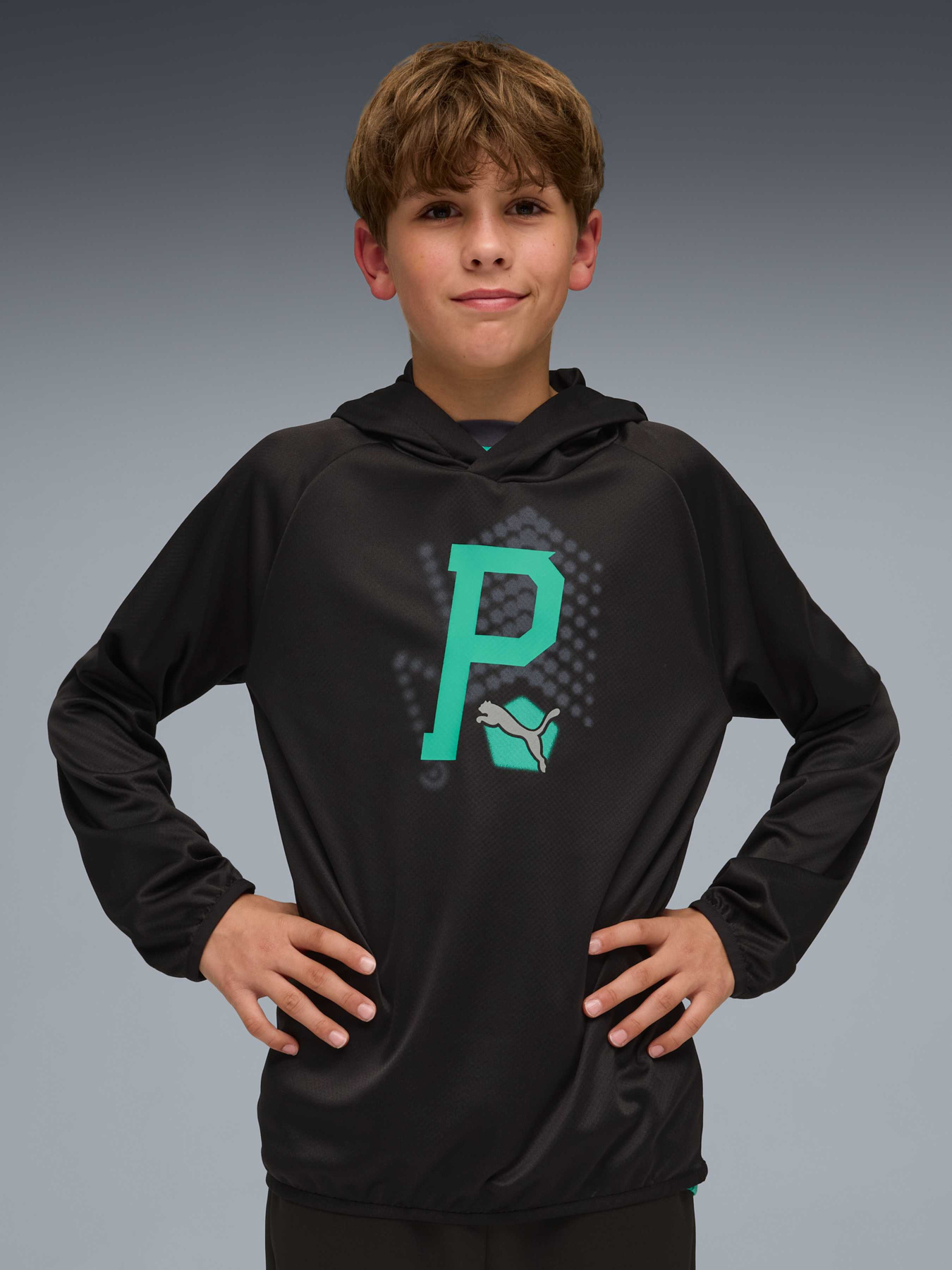 Худі PUMA Active Sports Hoodie модель 691757 Фото