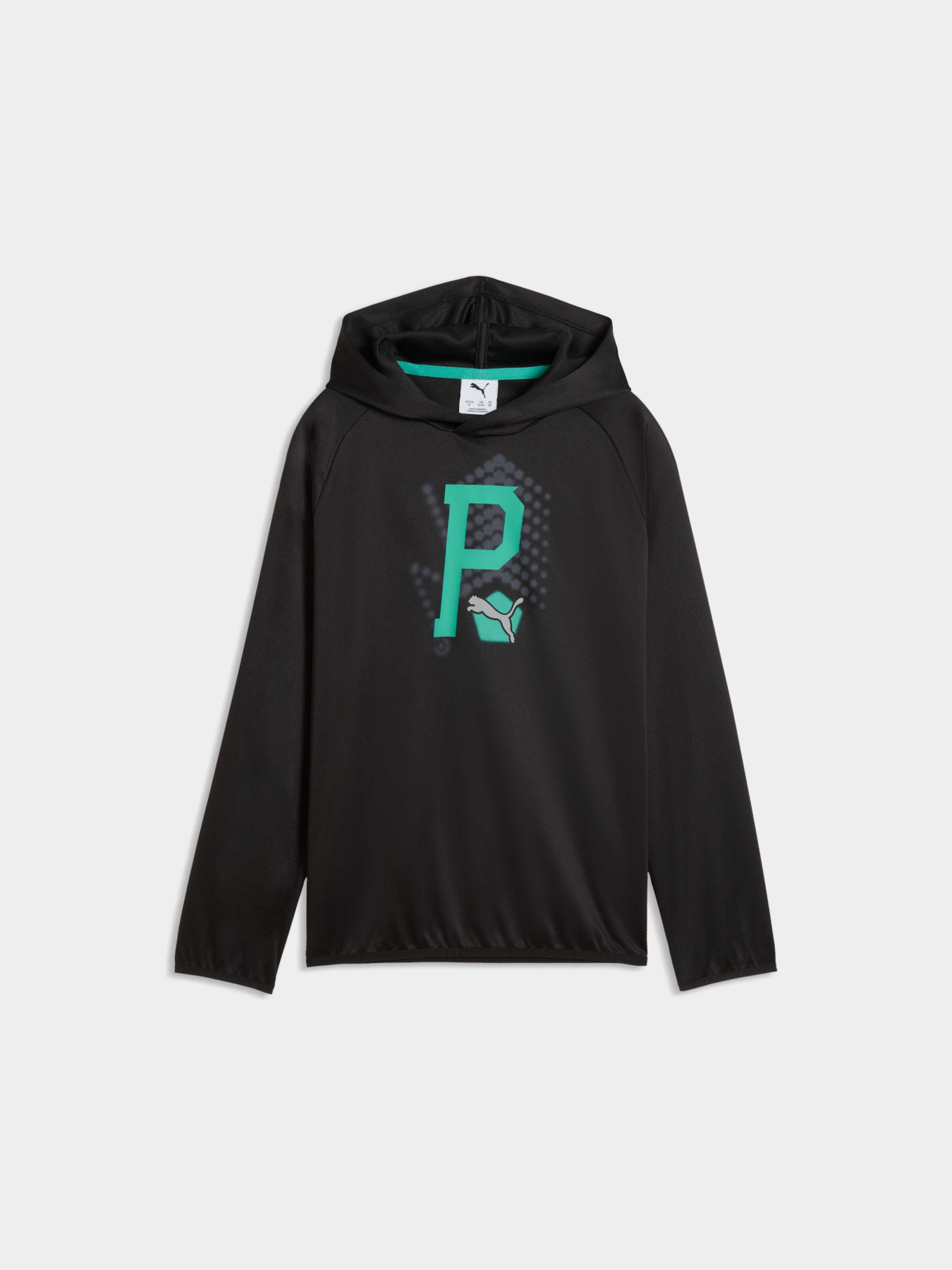 Худі PUMA Active Sports Hoodie модель 691757 Фото