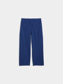 Дитячі штани Sporty Cats Relaxed Sweatpants Kids модель 634552 Дитячі штани Sporty Cats Relaxed Sweatpants Kids модель 634552 Фото