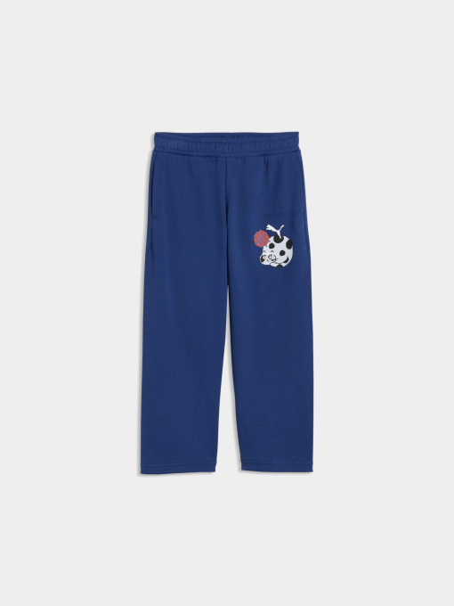 Спортивні штани PUMA Sporty Cats Sweatpants модель 634552 Фото
