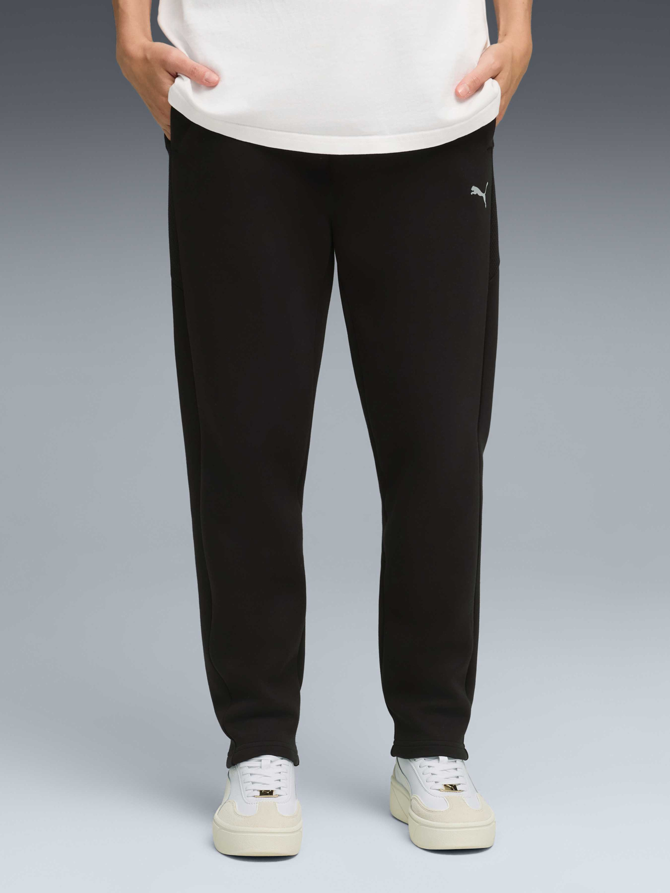 Спортивні штани PUMA Evostripe Sweatpants Dk Op модель 691899 Фото