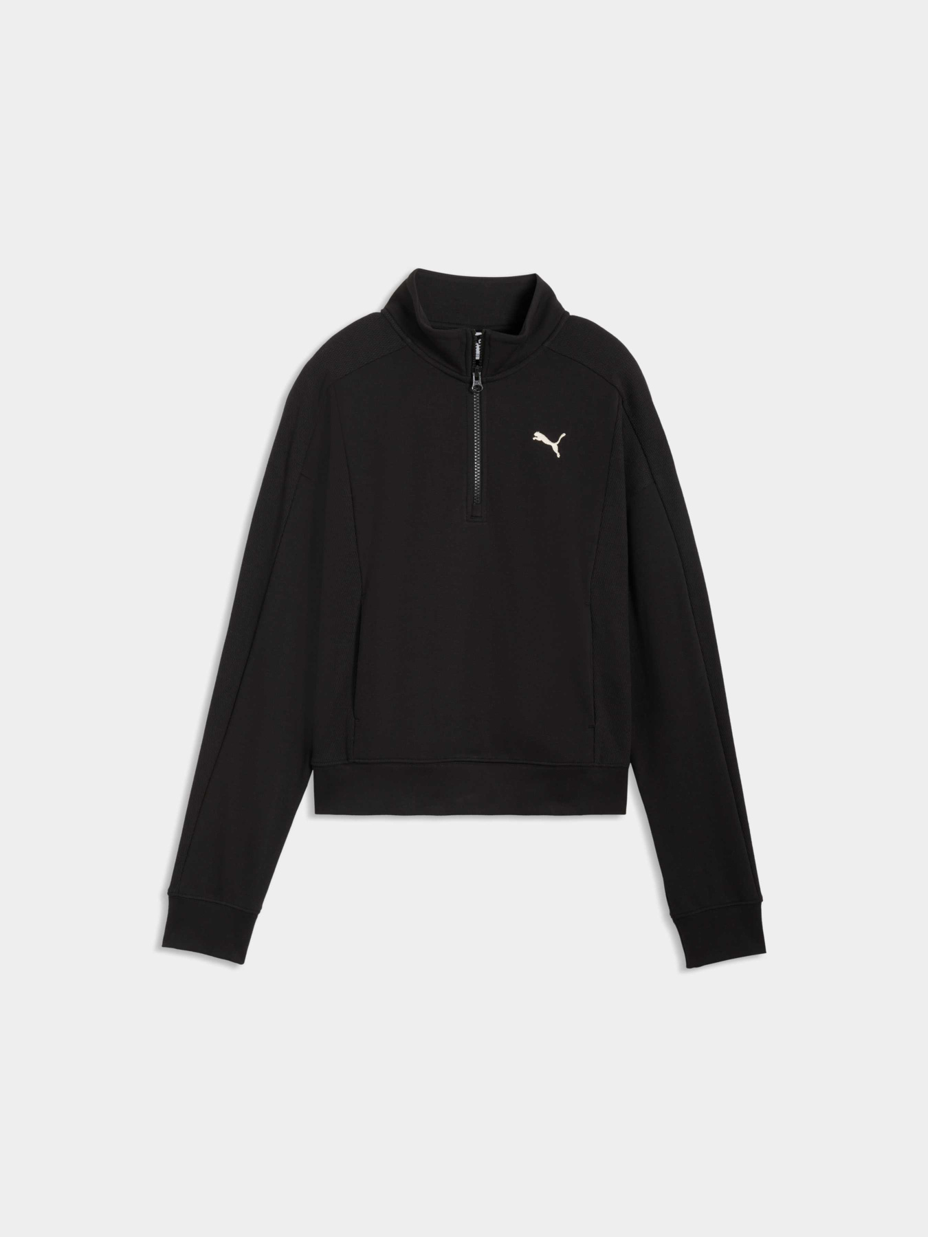 Кофта PUMA Class Relaxed Half-Zip Sweatshirt Women модель 691873 Фото