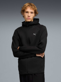 Кофта Evostripe Full-zip Hoodie Men модель 692190 Кофта Evostripe Full-zip Hoodie Men модель 692190 Фото