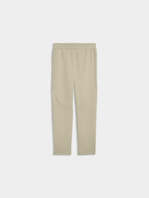 Спортивні штани PUMA Evostripe Pants модель 692191 Фото