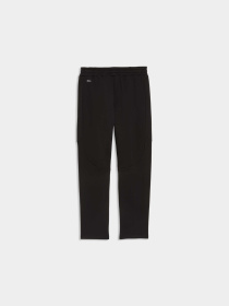 Штаны спортивные PUMA Evostripe Pants модель 692191 Фото