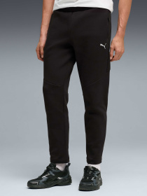 Штаны спортивные PUMA Evostripe Pants модель 692191 Фото