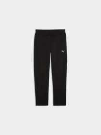 Спортивні штани PUMA Evostripe Pants модель 692191 Фото