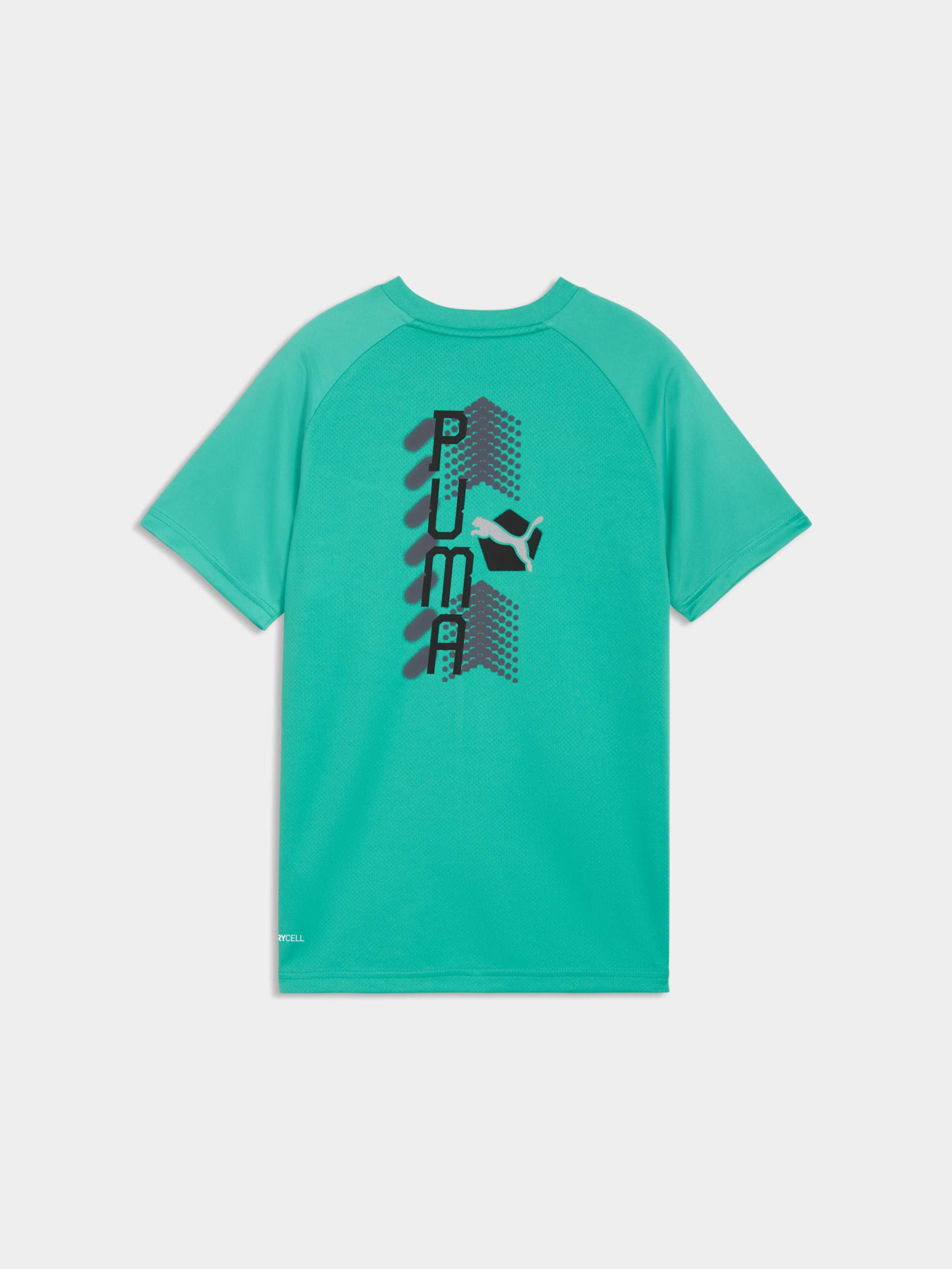 Футболка PUMA Active Sports Poly Tee модель 691756 Фото