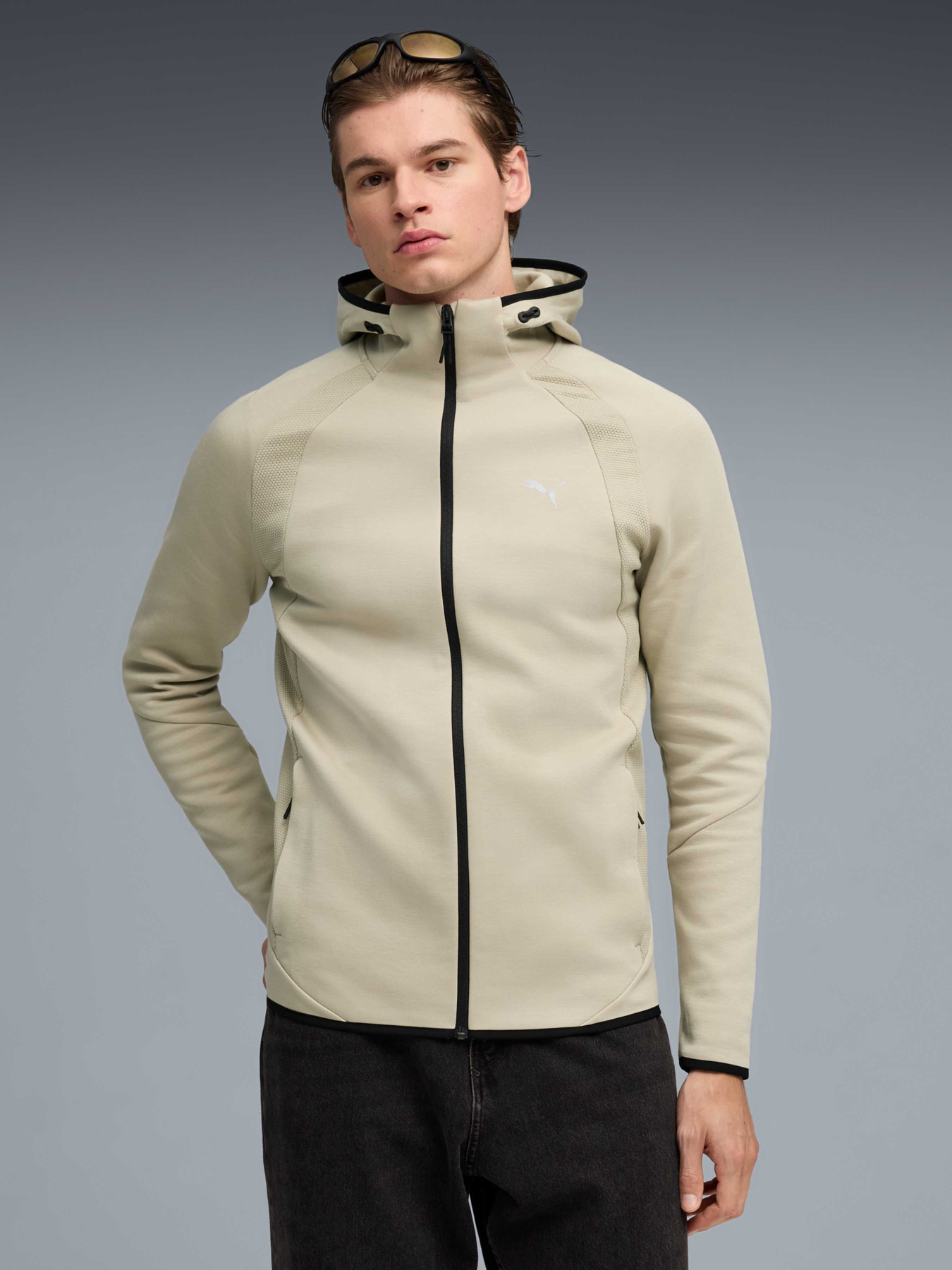 Кофта Evostripe Full-zip Hoodie Men модель 692190 Фото