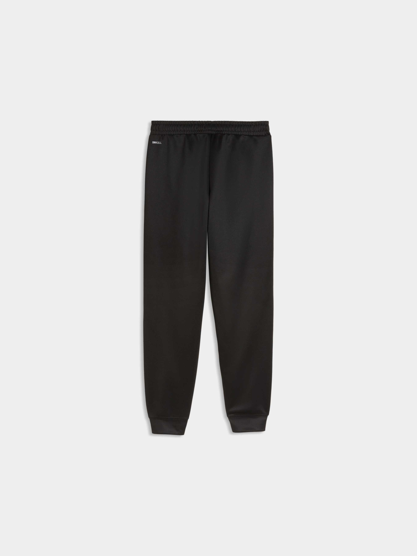 Штаны спортивные PUMA Active Sports Poly Pants модель 691758 Фото