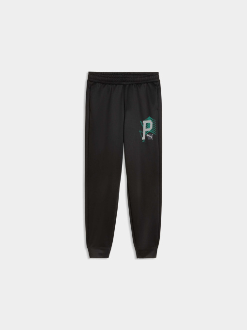 Штаны спортивные PUMA Active Sports Poly Pants модель 691758 Фото