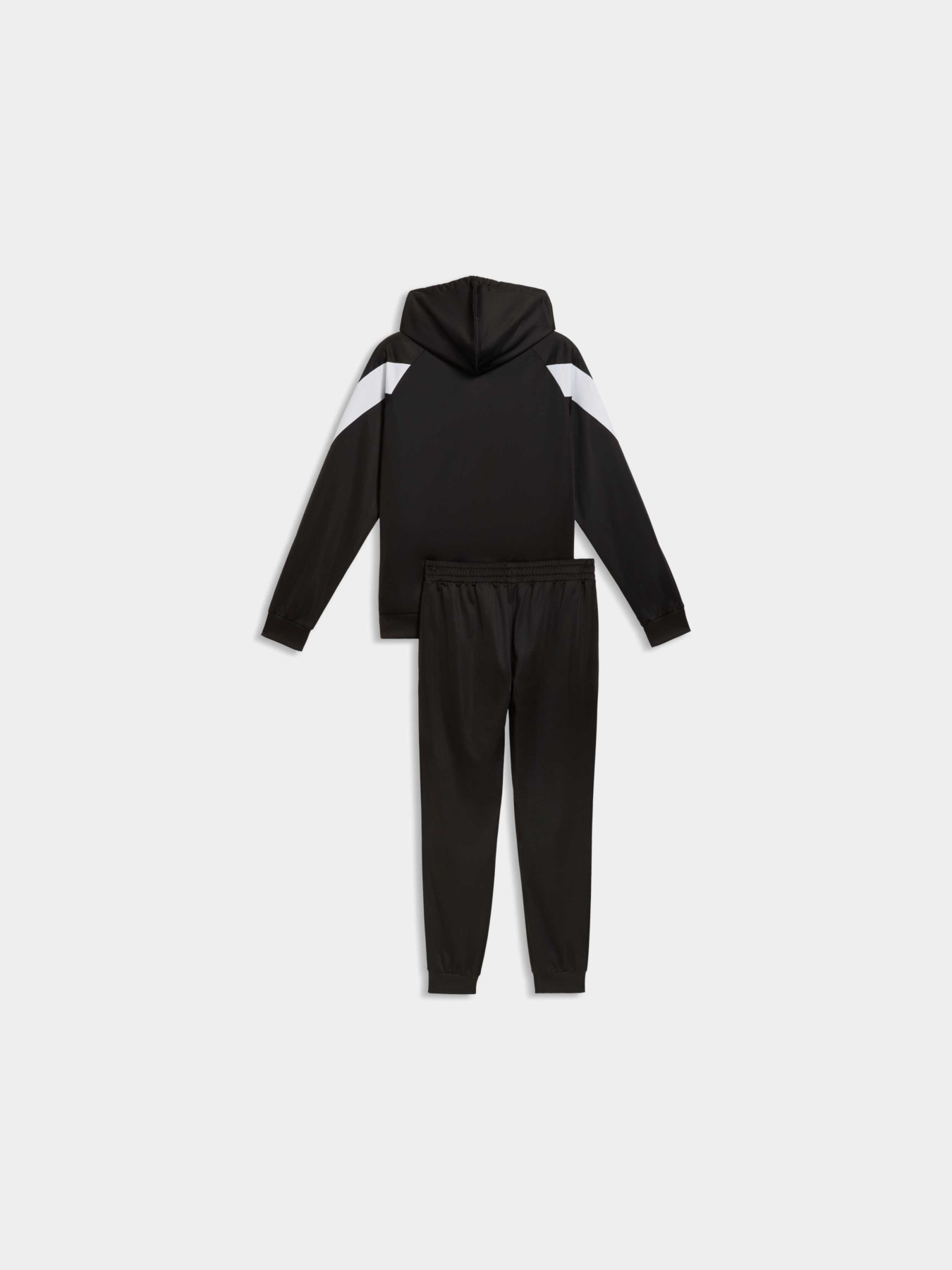 Спортивный костюм Hooded Tracksuit Men модель 691768 Фото