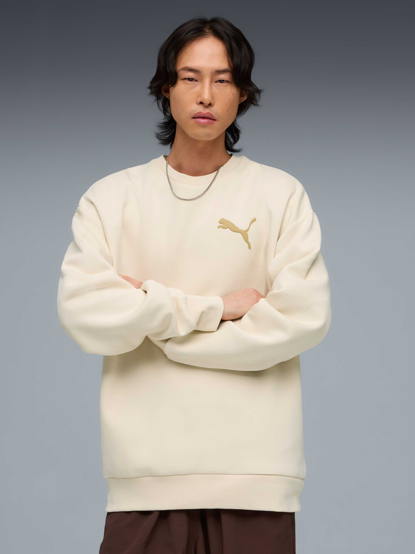 Свитшот Essentials Elevated Cat Logo Relaxed Sweatshirt Men модель 634393 Фото