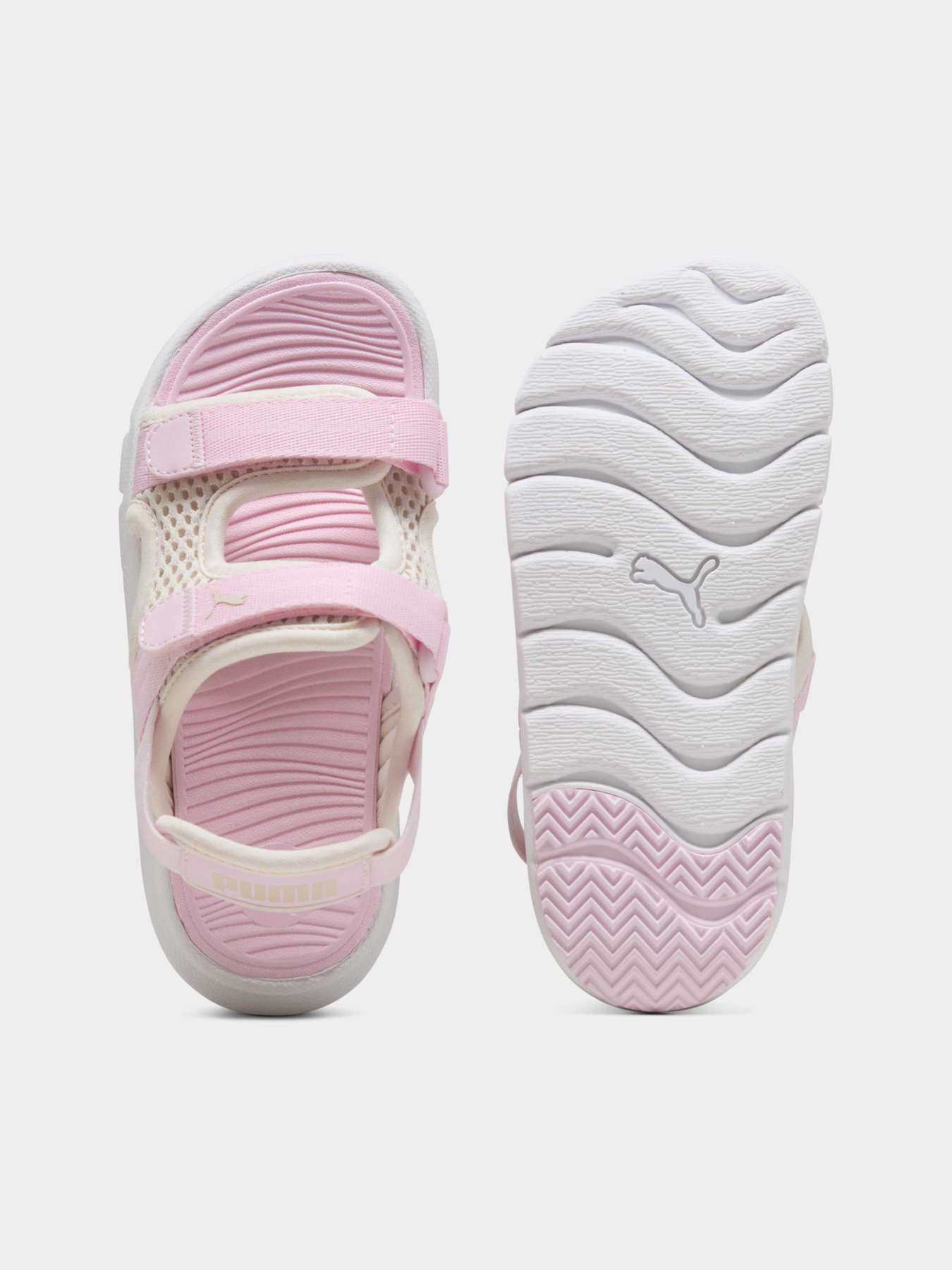 Сандалии PUMA Evolve Sandal Ps модель 389147 Фото