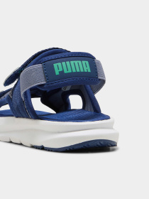 Сандалии PUMA Evolve Sandal Ps модель 389147 Фото