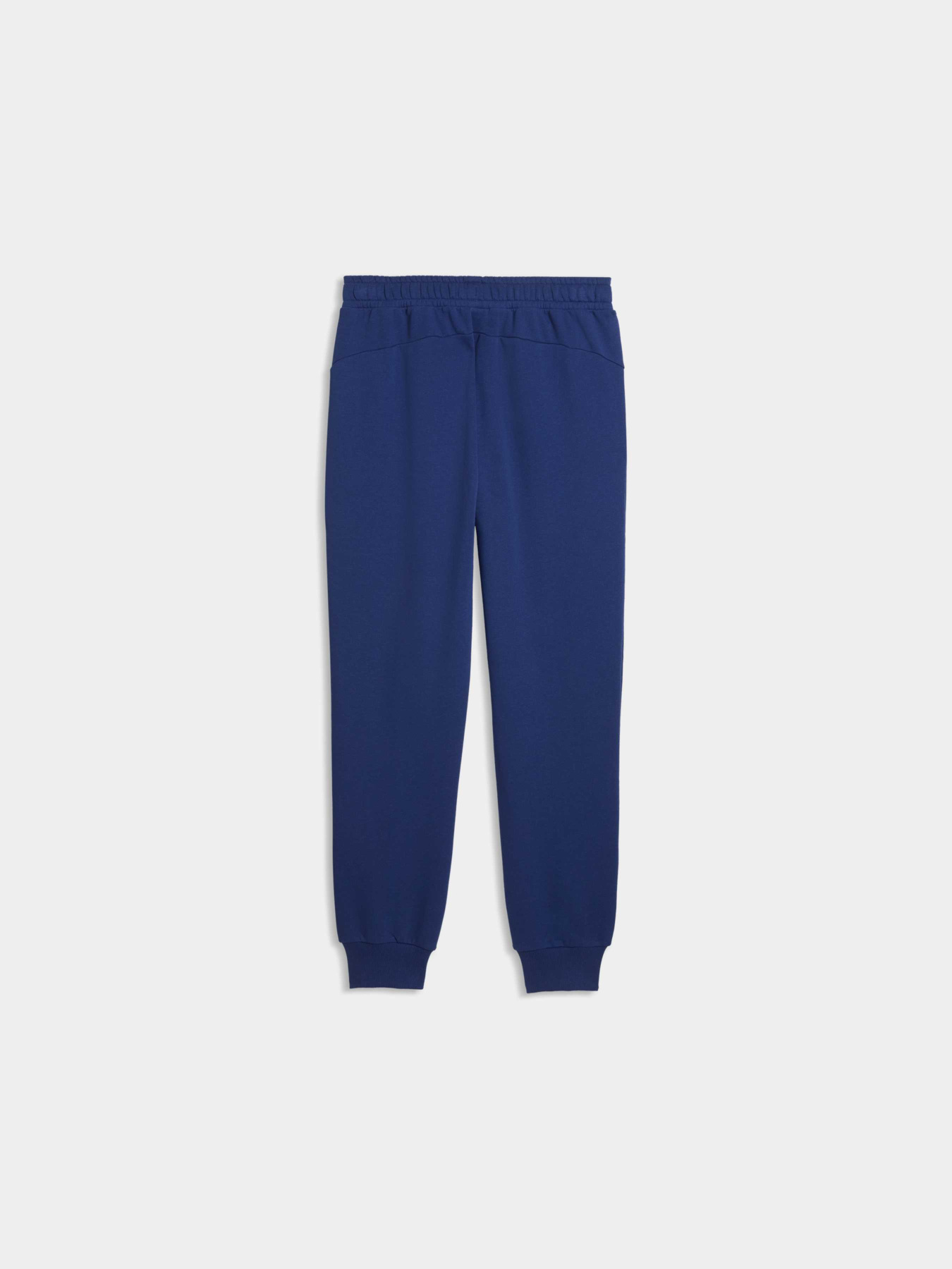 Штаны спортивные PUMA Pl Ess Pants модель 634494 Фото