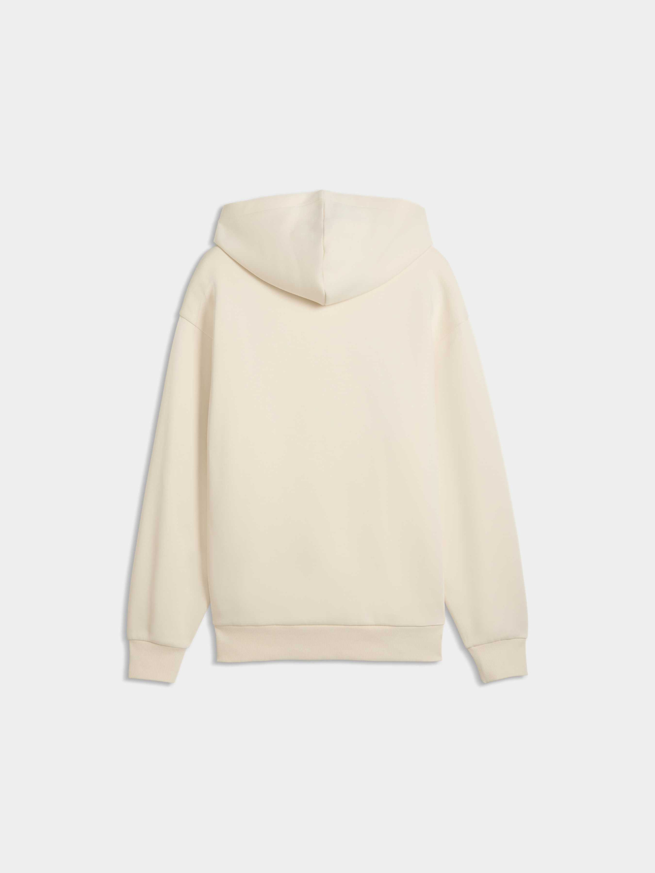 Худи Essentials Elevated Cat Logo Relaxed Hoodie Men модель 634392 Фото