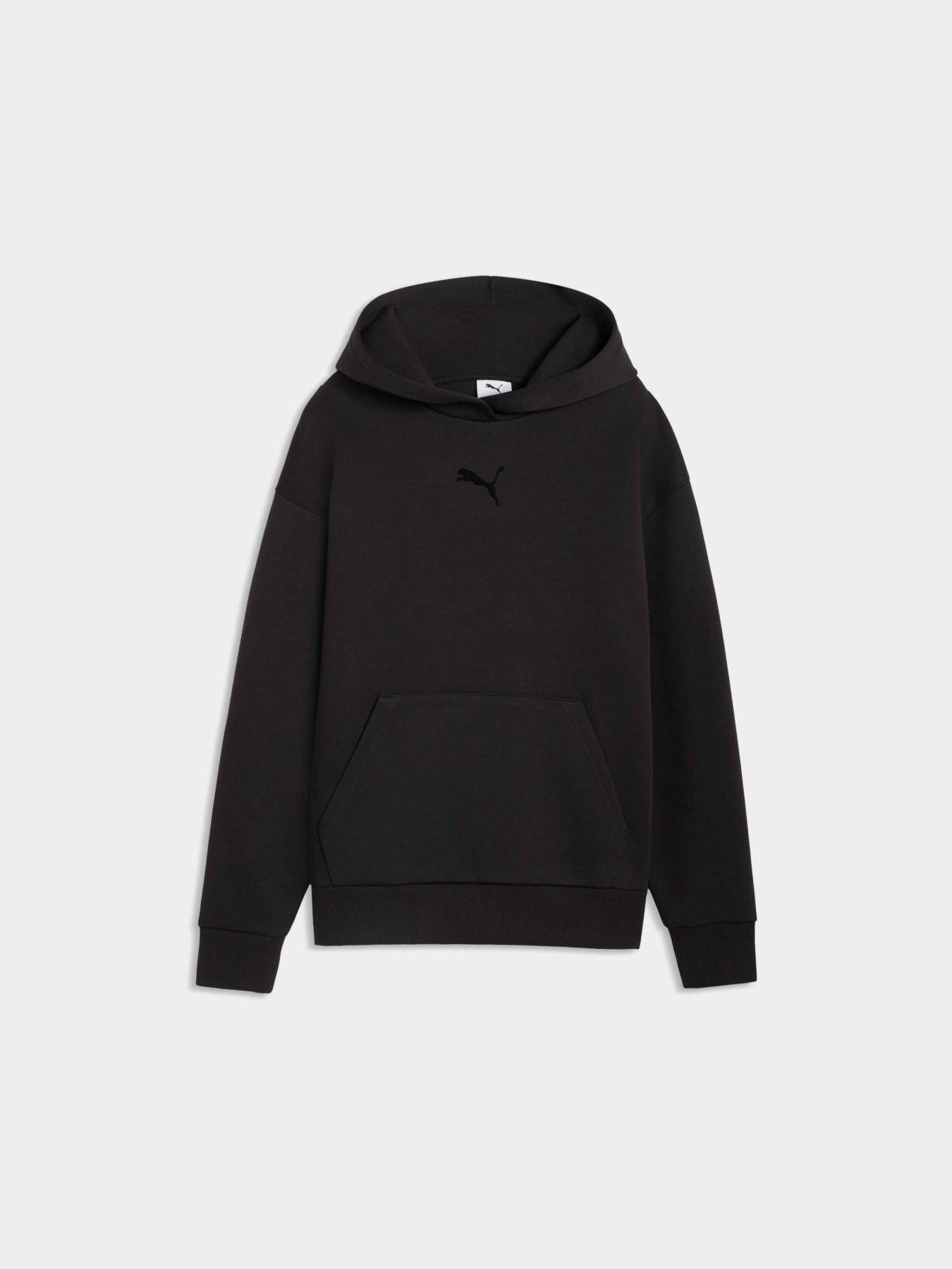 Худи Essentials Elevated Relaxed Logo Hoodie Women модель 634577 Фото