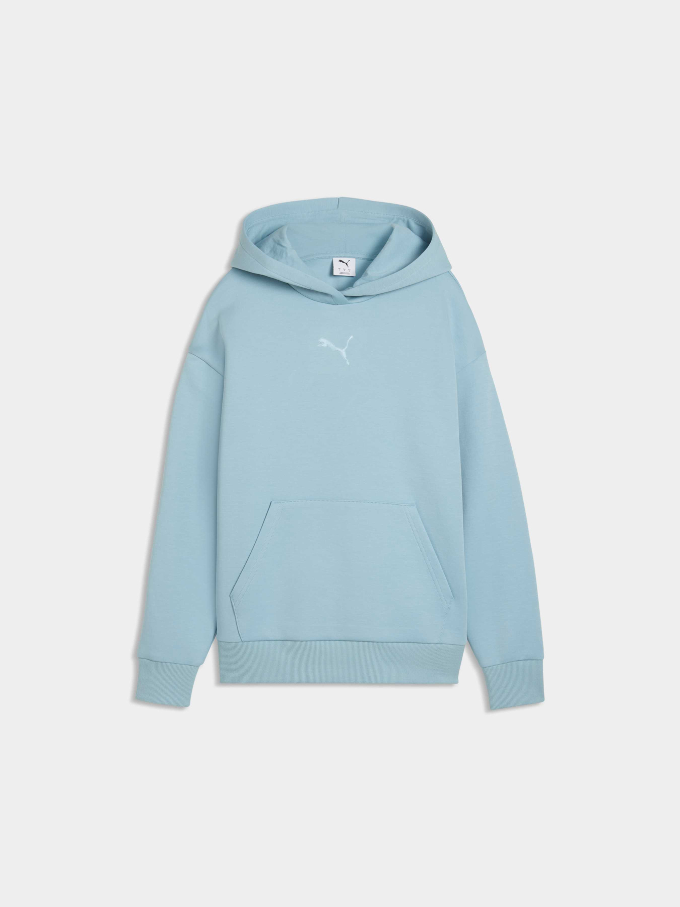 Худи Essentials Elevated Relaxed Logo Hoodie Women модель 634577 Фото