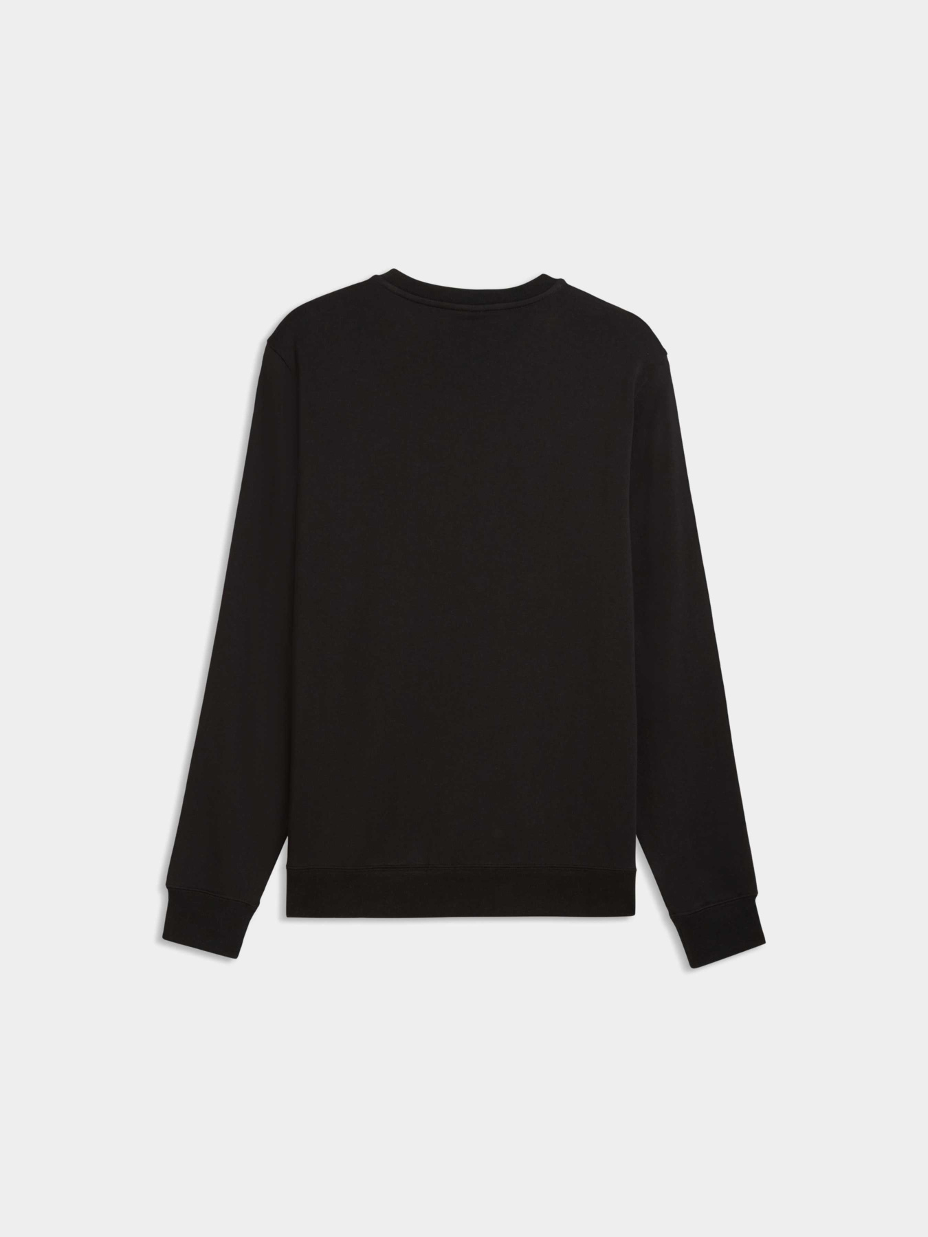 Свитшот Essentials Elevated Crew Sweatshirt Men модель 692015 Фото