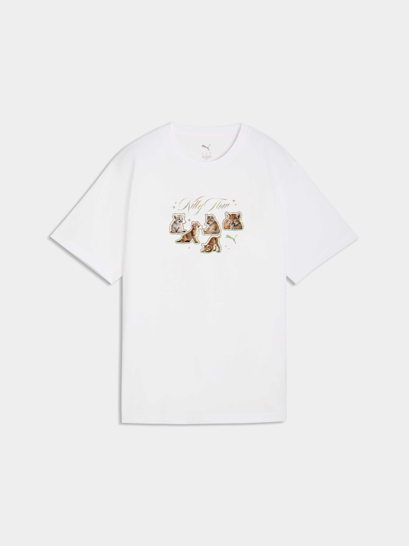 Футболки и поло PUMA Graphics Tee модель 634589 Фото