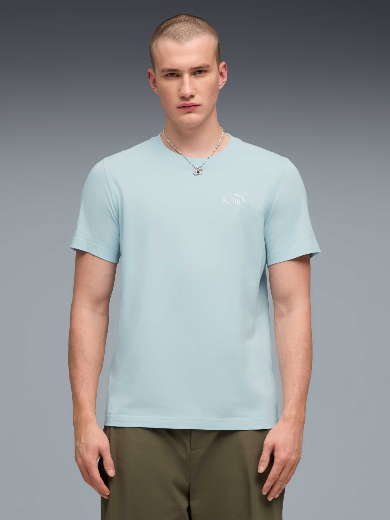 Футболка PUMA Ess Small No. 1 Logo Tee модель 682535 Фото