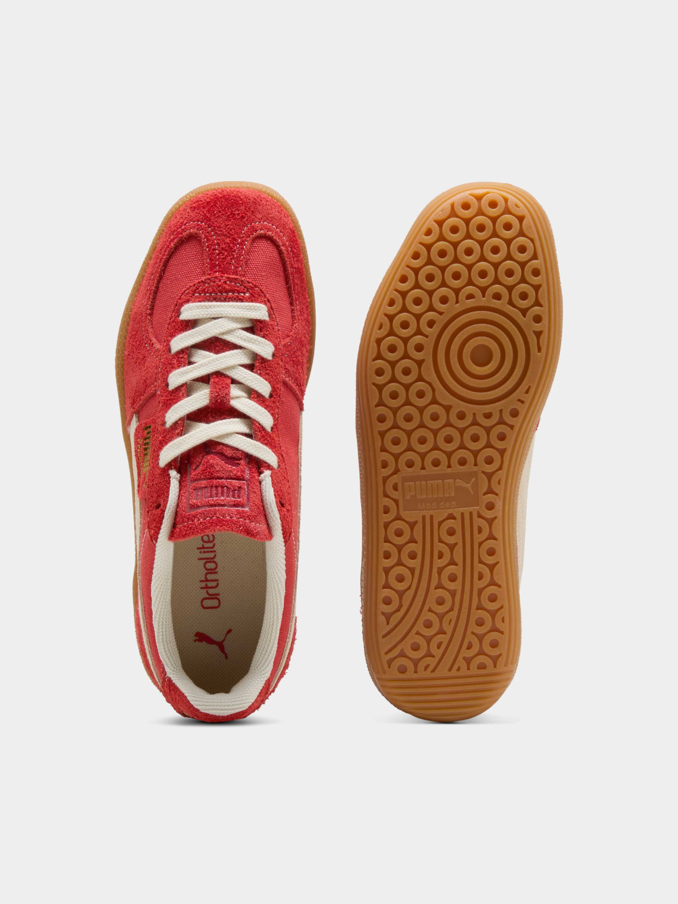 Кеди Palermo Vintage Sneakers Unisex модель 396841 Кеди Palermo Vintage Sneakers Unisex модель 396841 Фото