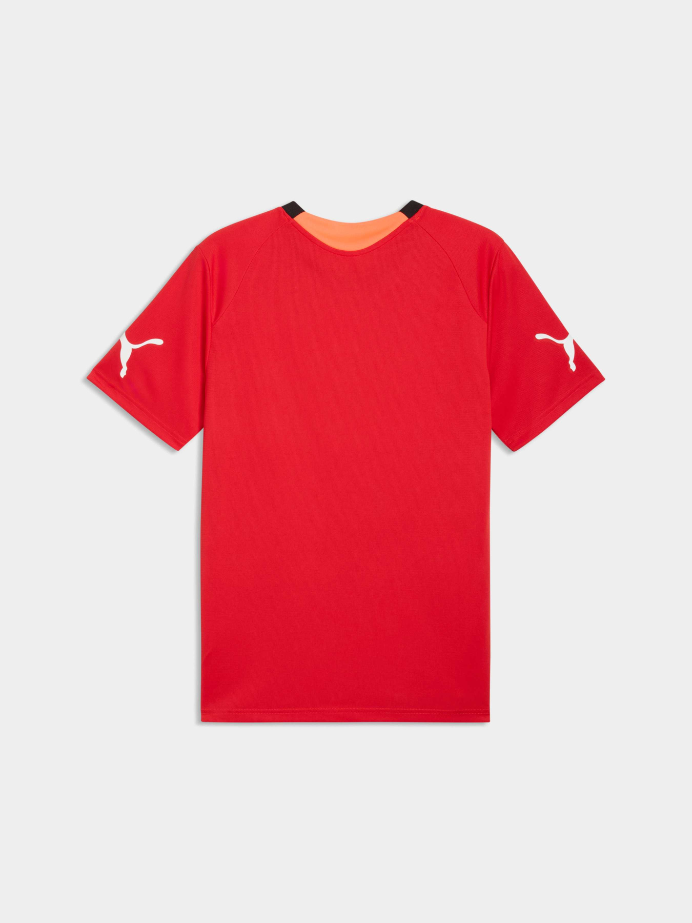 Футболки и поло PUMA Individualfinal Jersey модель 660424 Фото