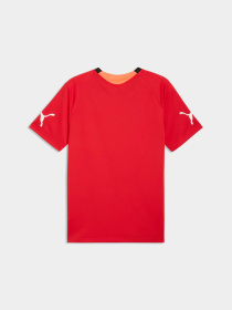 Футболки и поло PUMA Individualfinal Jersey модель 660424 Фото