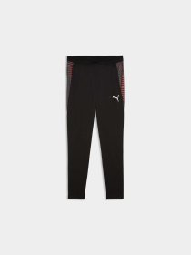Спортивні штани PUMA Individualfinal Trg Pants модель 660431 Фото