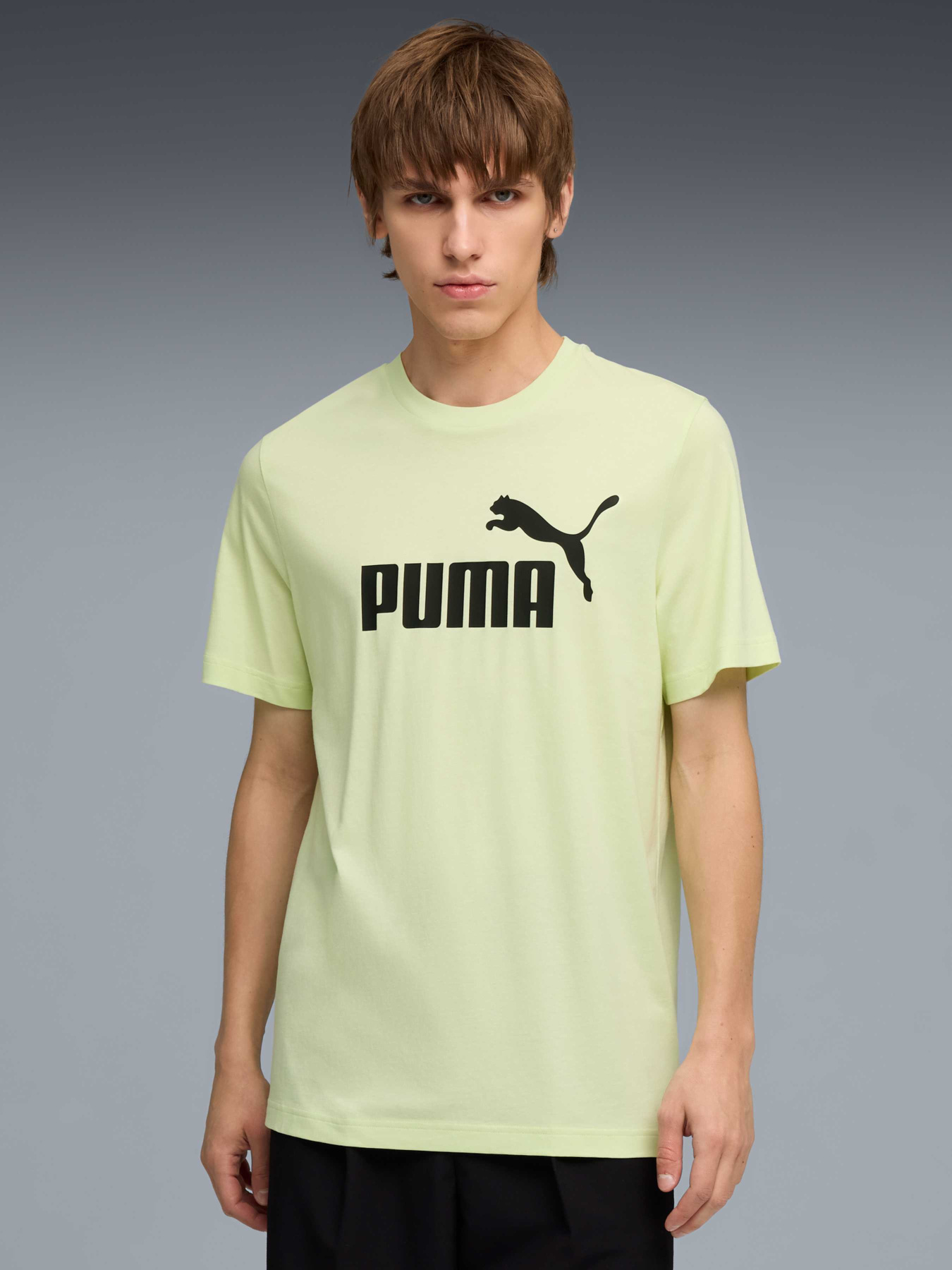 Футболка PUMA Ess No. 1 Logo Tee модель 682533 Фото