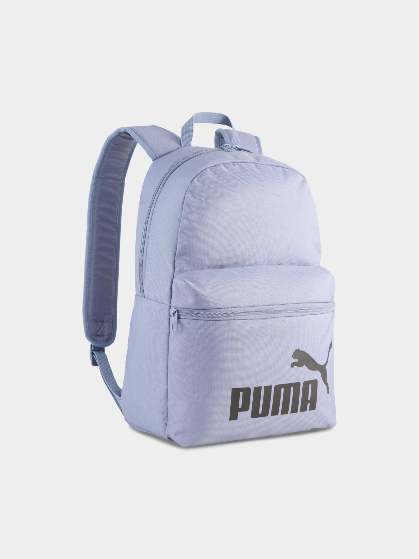 Рюкзак PUMA Phase Backpack 22L модель 091164 Фото