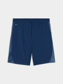 Шорты individualFINAL Football Shorts Men модель 660428 Шорты individualFINAL Football Shorts Men модель 660428 Фото