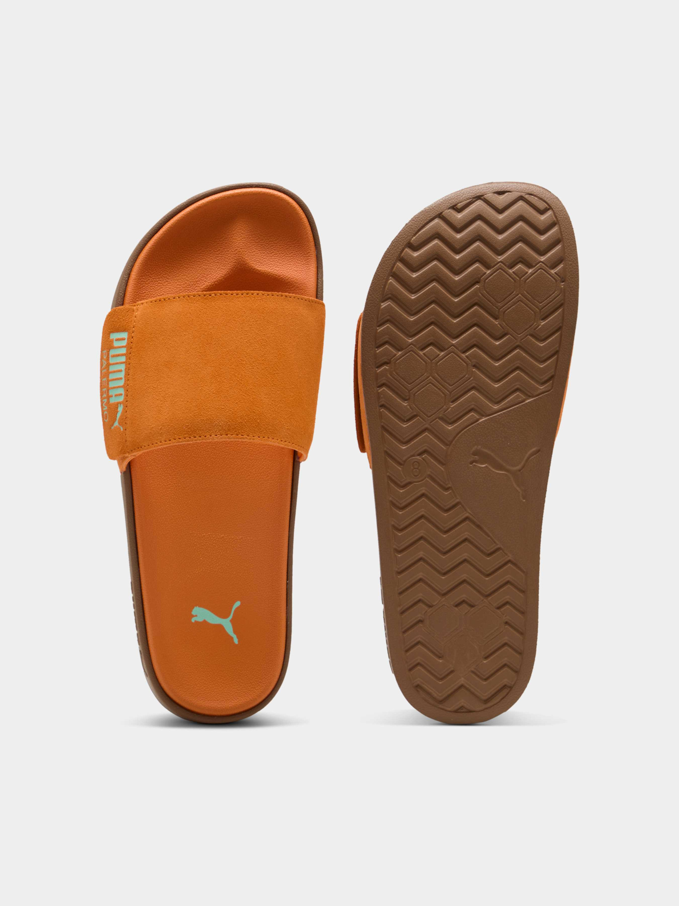Шлёпанцы PUMA Leadcat 2.0 Palermo Foil модель 399041 Фото
