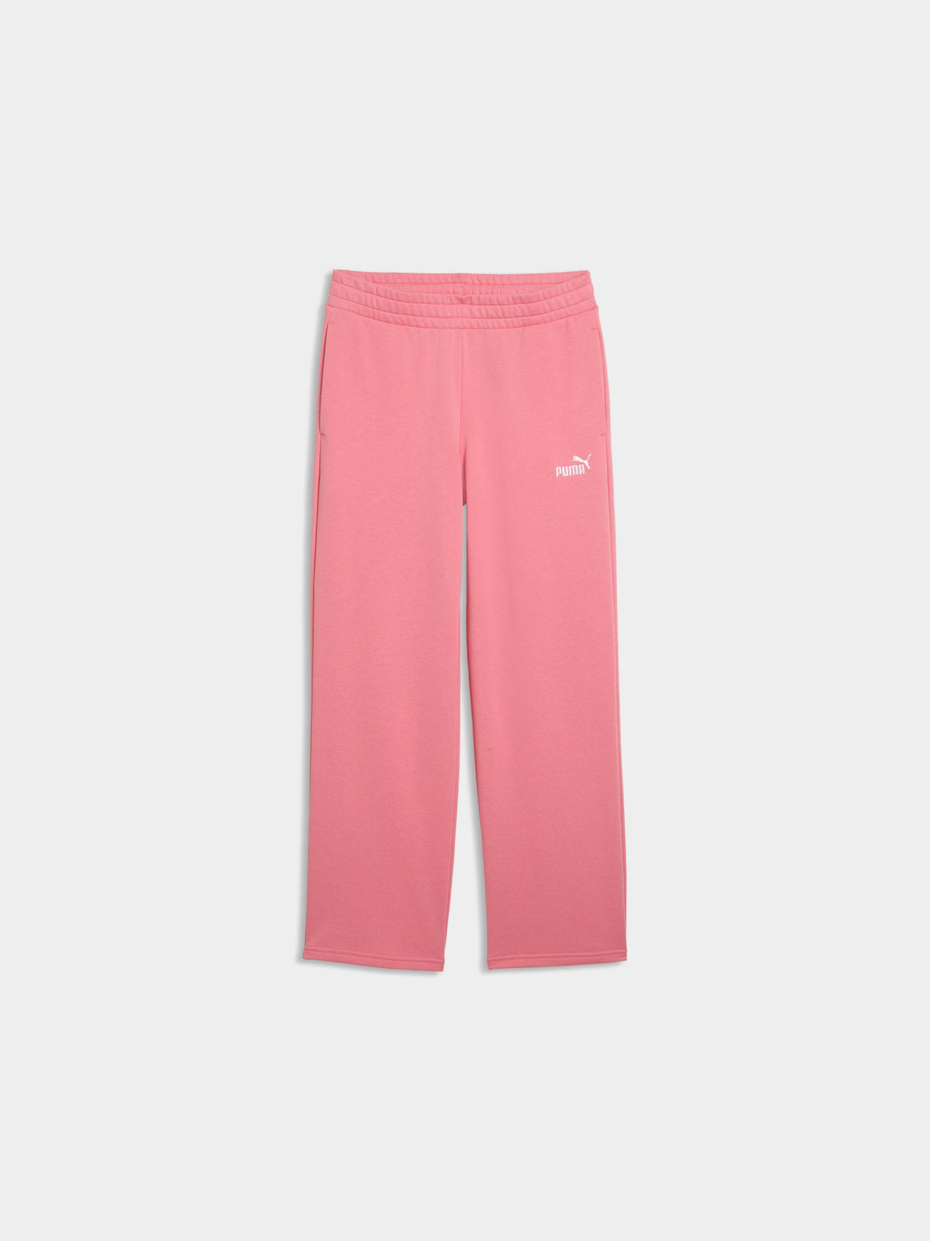 Штаны спортивные PUMA Ess No.1 Logo Straight Pants модель 684979 Фото