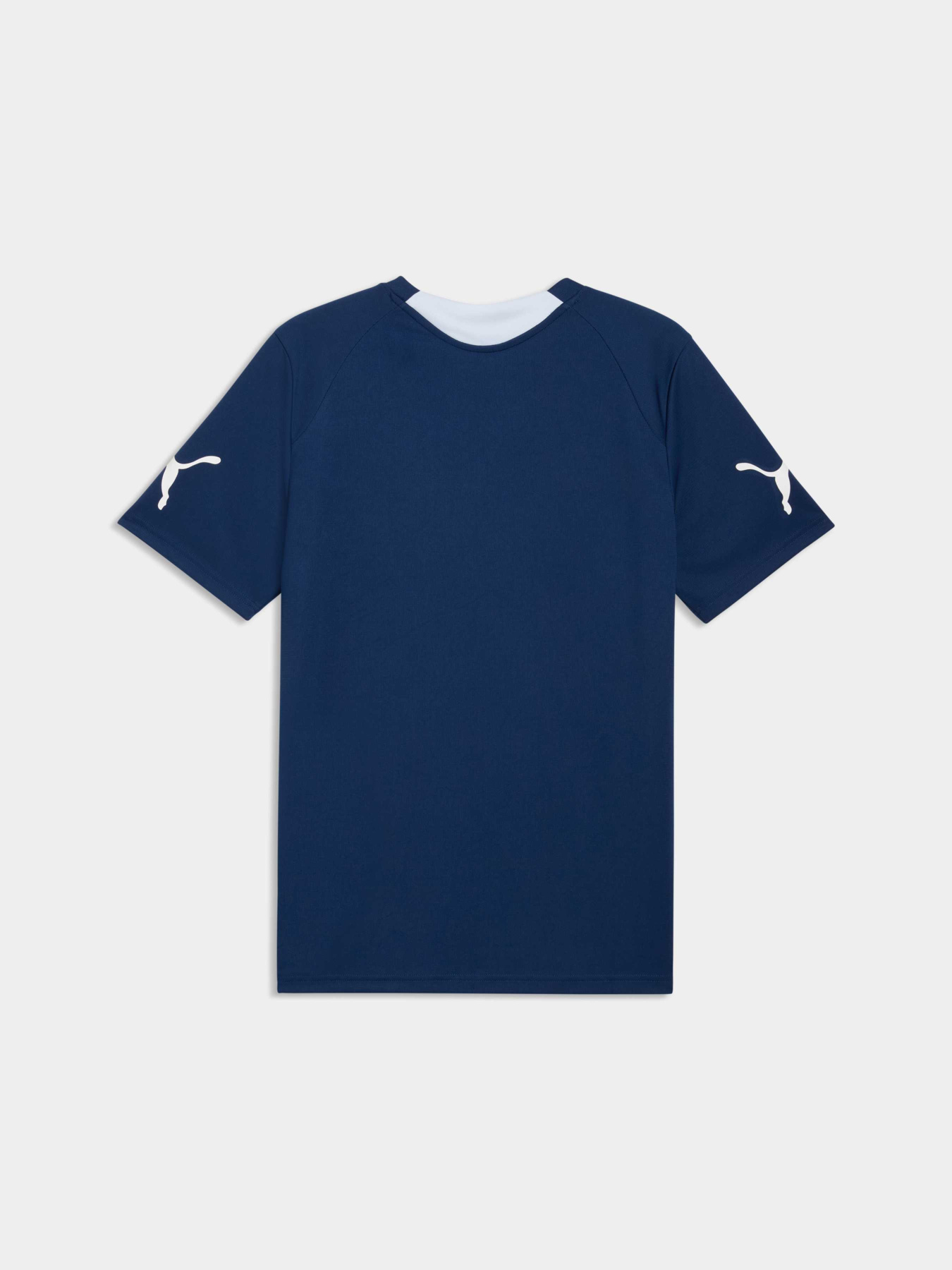 Футболки и поло PUMA Individualfinal Jersey модель 660424 Фото