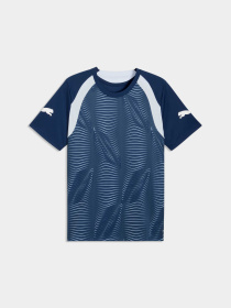 Футболки и поло PUMA Individualfinal Jersey модель 660424 Фото