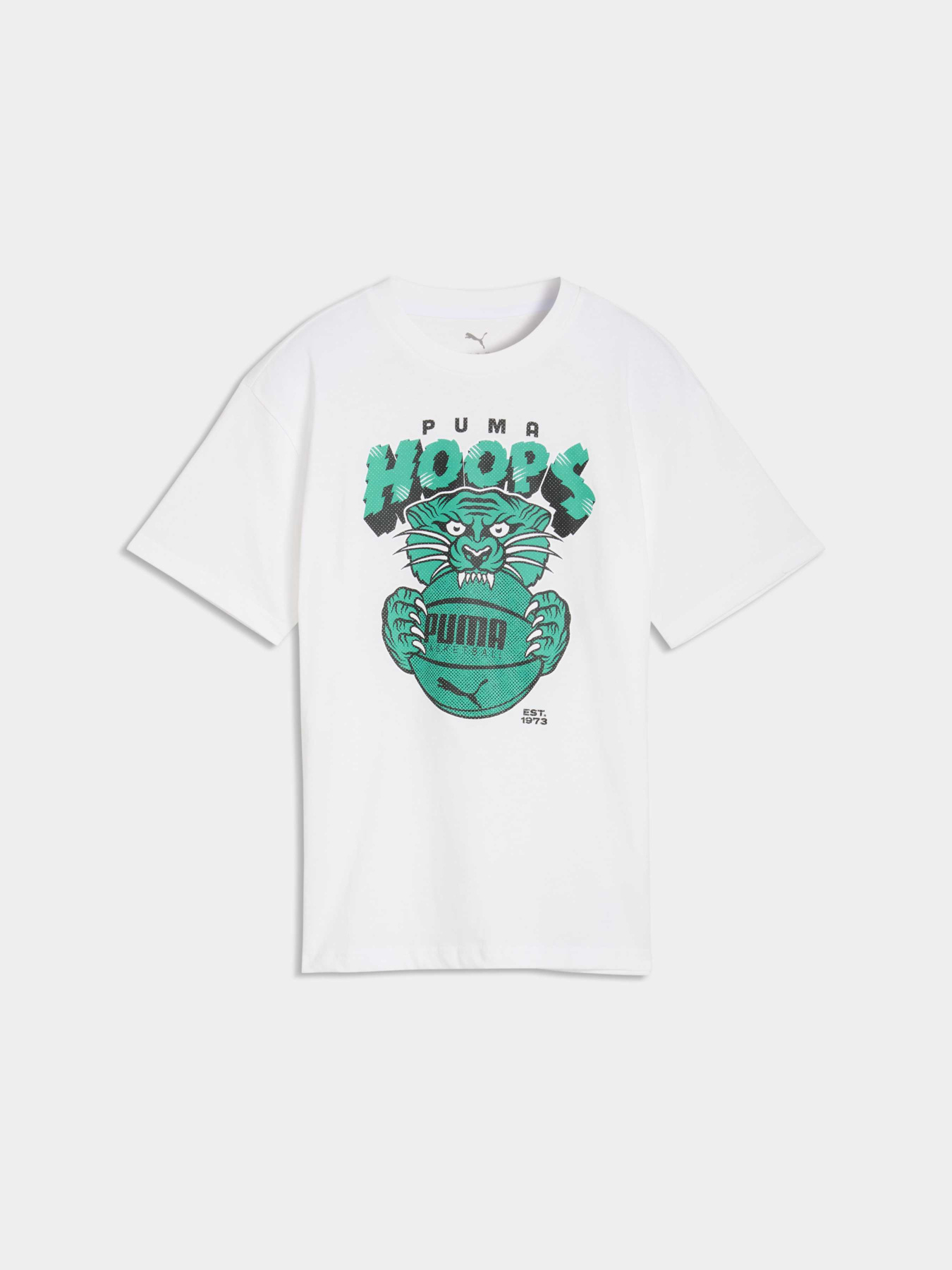 Футболки и поло PUMA Flagrant Foul Tee модель 635514 Фото