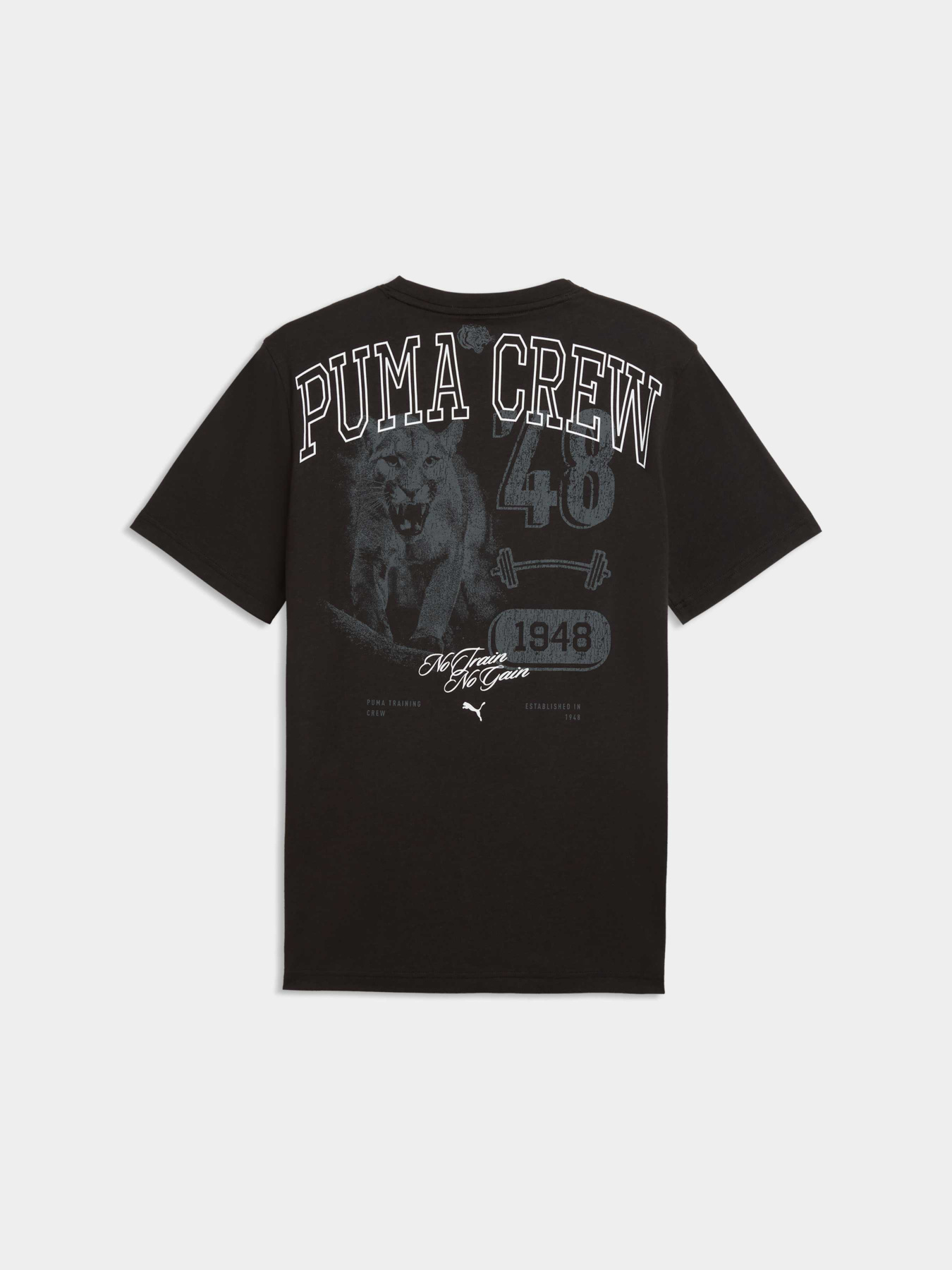 Футболки и поло PUMA M Graphic Tee 1 модель 528530 Фото