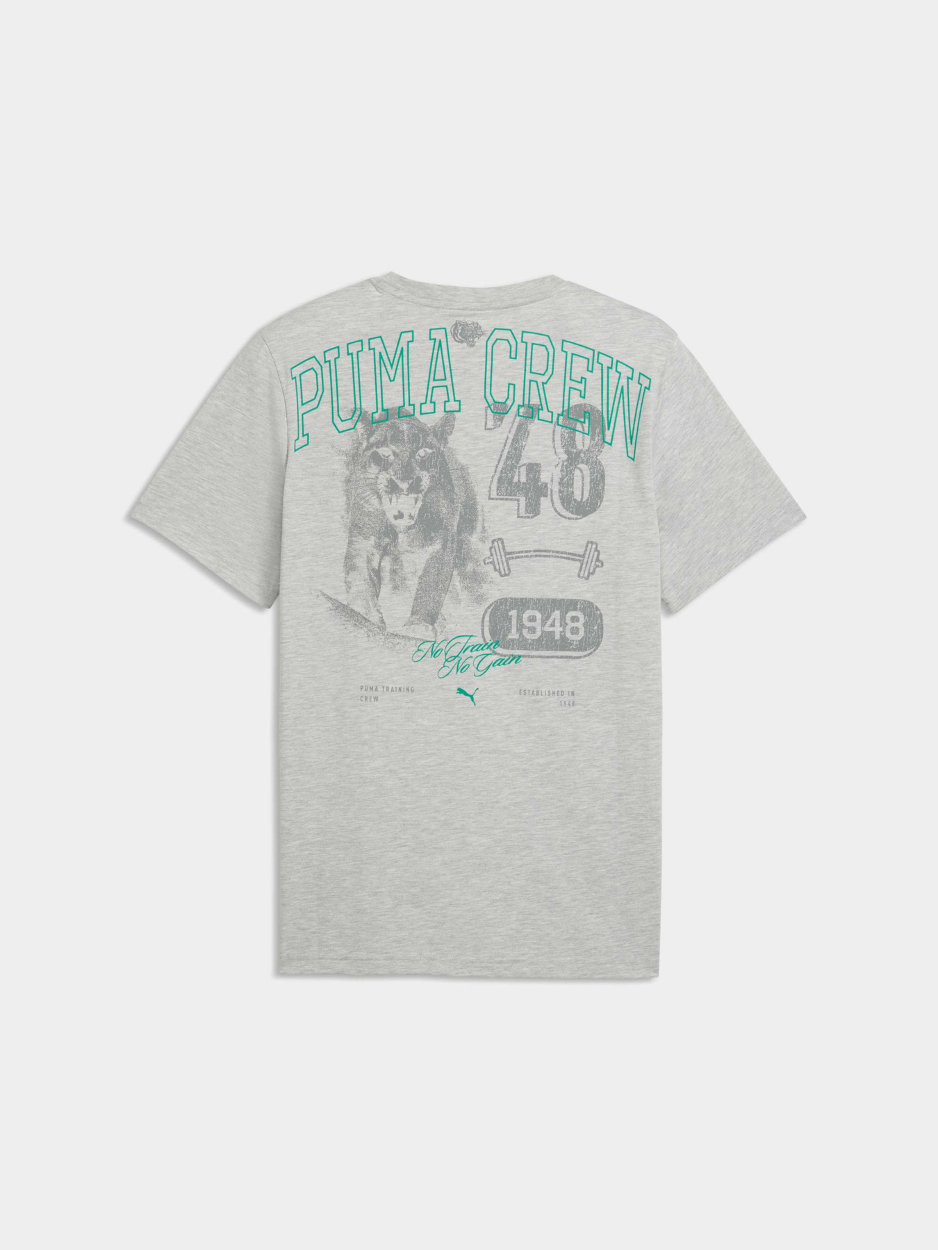 Футболки и поло PUMA M Graphic Tee 1 модель 528530 Фото