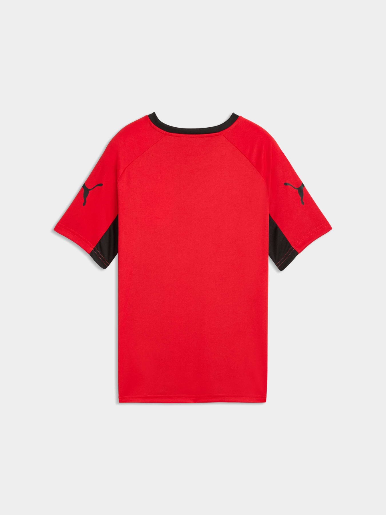 Спортивная футболка PUMA Individualliga Graph Jer Jr модель 660579 Фото