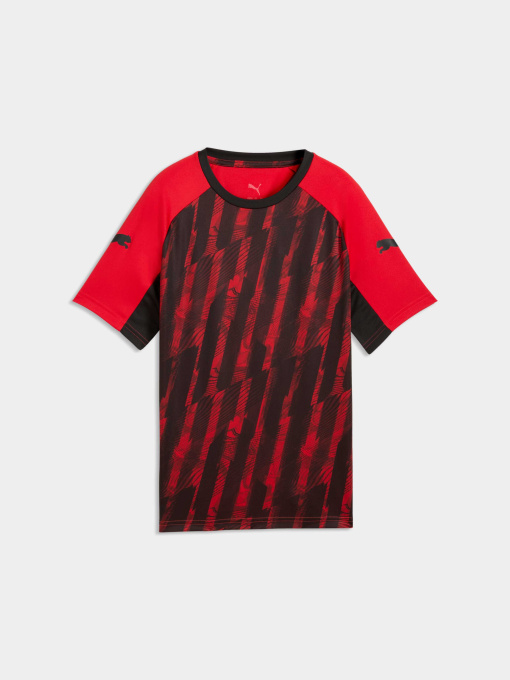 Спортивная футболка PUMA Individualliga Graph Jer Jr модель 660579 Фото