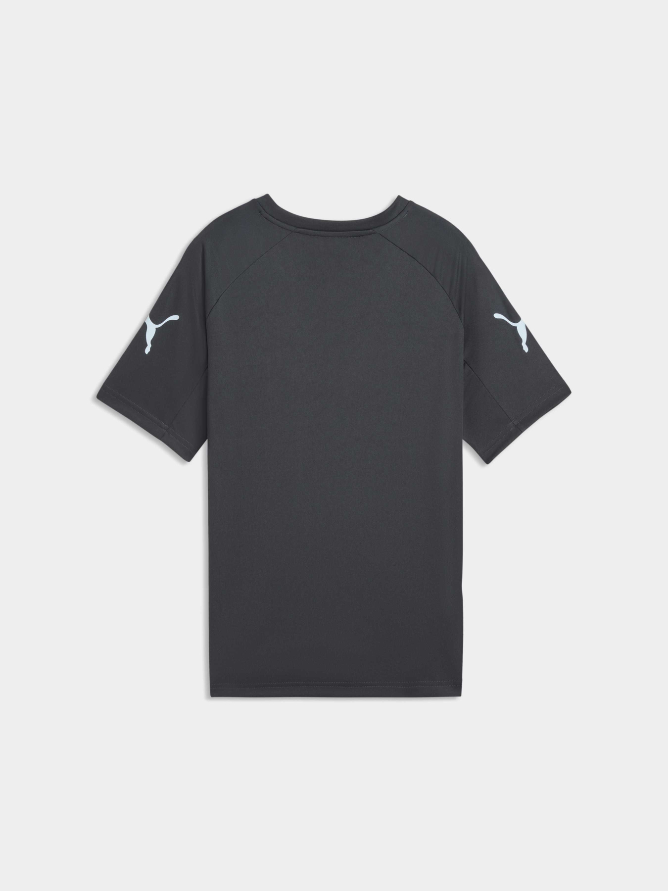 Спортивная футболка PUMA Individualliga Graph Jer Jr модель 660579 Спортивная футболка PUMA Individualliga Graph Jer Jr модель 660579 Фото